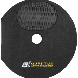 ESX Q300AV2 15 x 23 cm (6 x 9”) Active Subwoofer System - Image 3